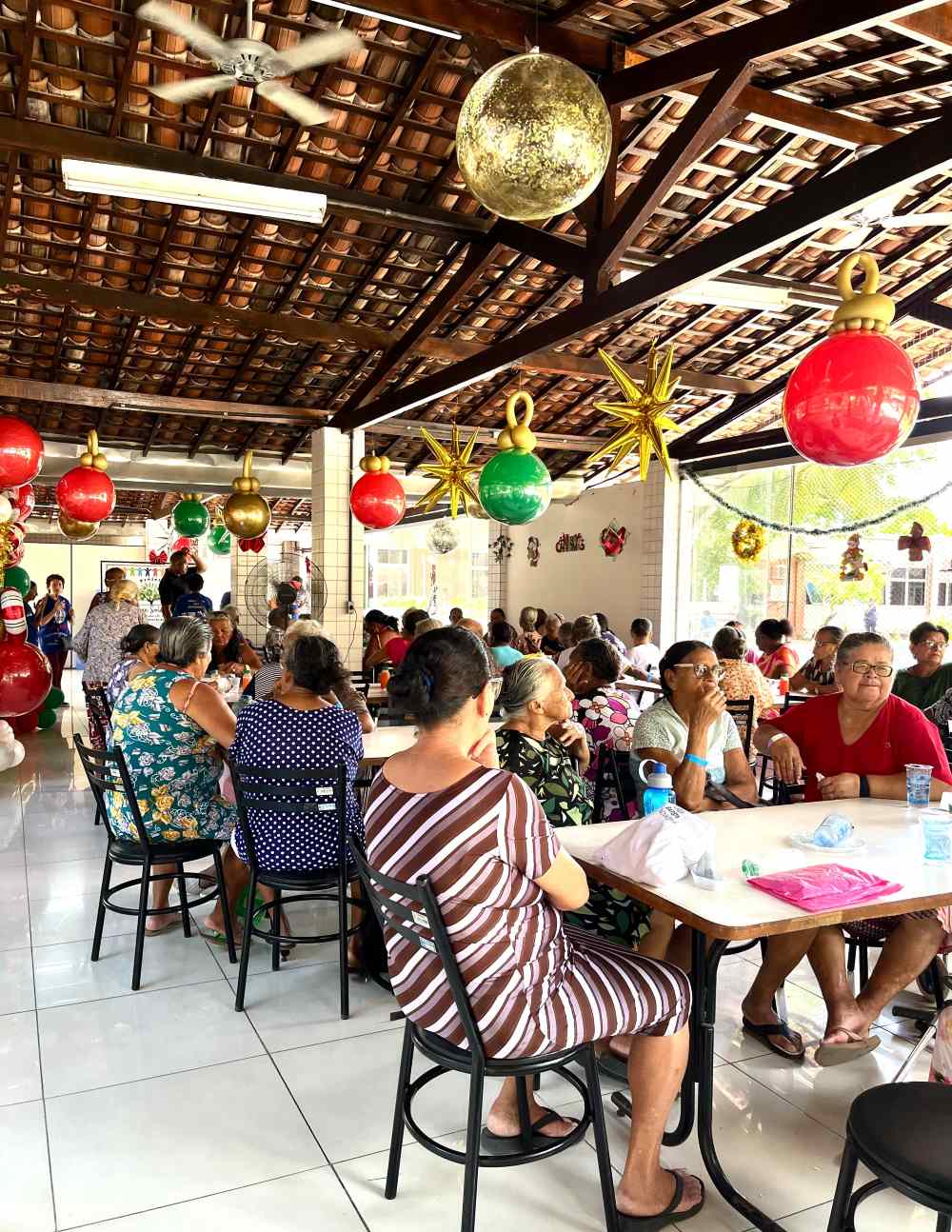 Árvore Solidária Sementinha do Amor: projeto finaliza rota com entrega aos idosos