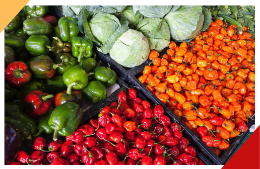 Imagem de um condutor e passageiro parados no trânsito, rodeados de outros veículos.