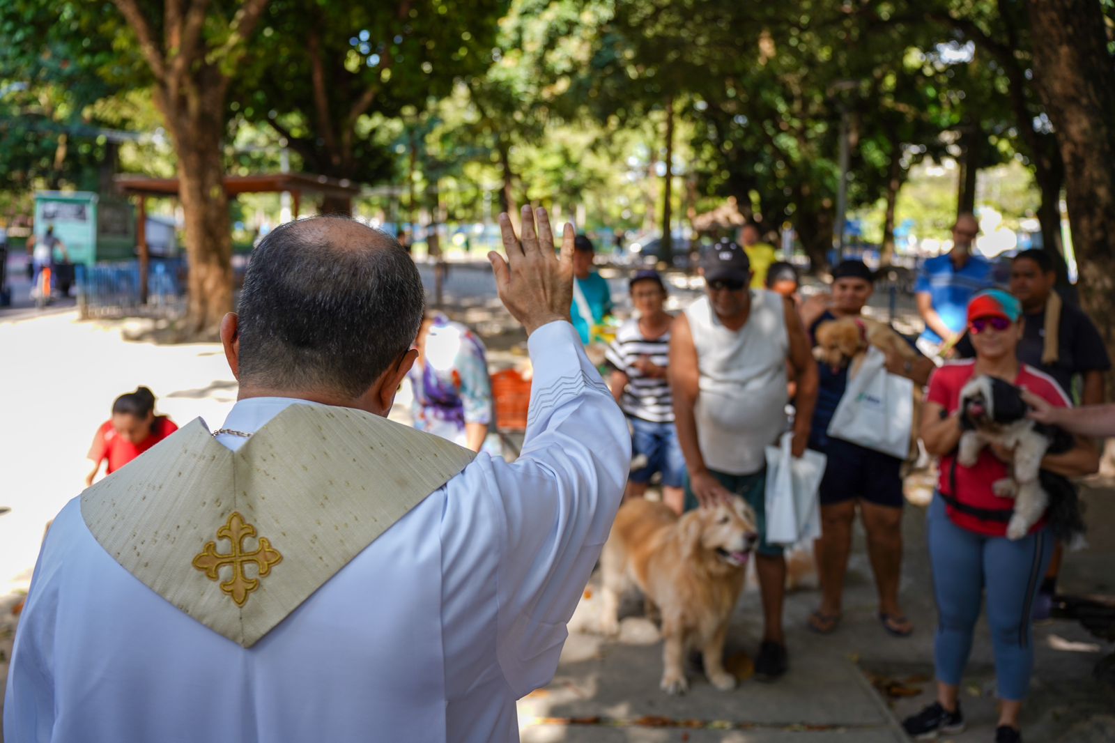 Foto de sacerdote abençoado animais